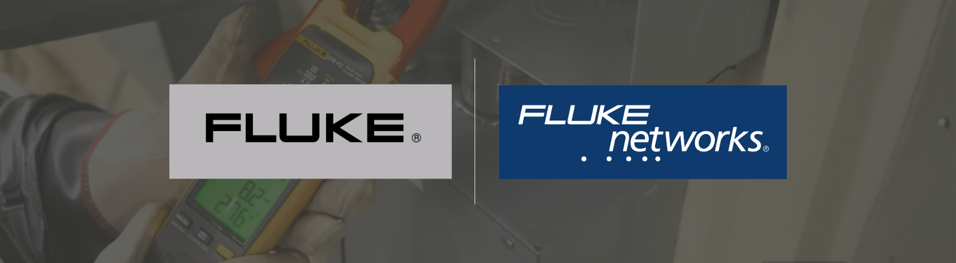 Fluke